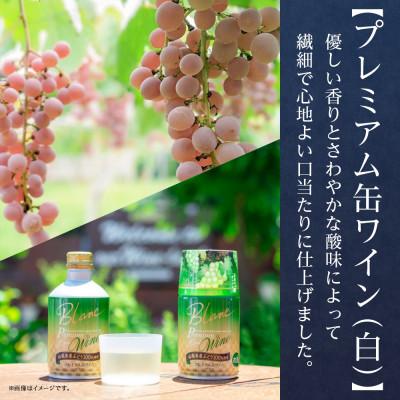 ふるさと納税 笛吹市 モンデ酒造の プレミアム缶ワイン 赤・白 300ml 12本入  山梨県 笛吹市 |  | 02