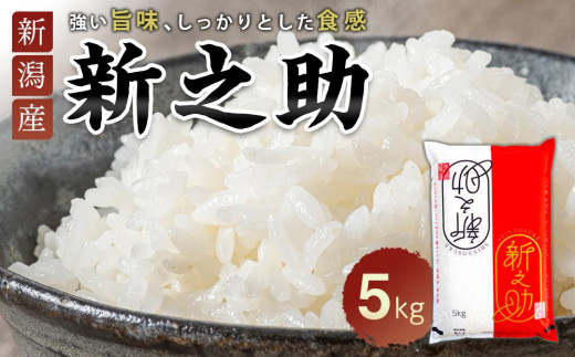 
                  新之助 5kg | お米　新潟　新潟県
                