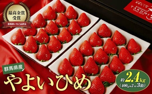 【2026年 先行予約】いちご やよいひめ400g×2 3箱 計2,400g｜朝採れ やみつき高品質 たっぷり 贈答用 新鮮 完熟 いちご 旬 苺 ストロベリー 高級 大粒 産地直送 果汁 甘い あまい 人気 高評価 減農薬 有機肥料 高糖度 ごほうび プレゼント 群馬県 前橋市