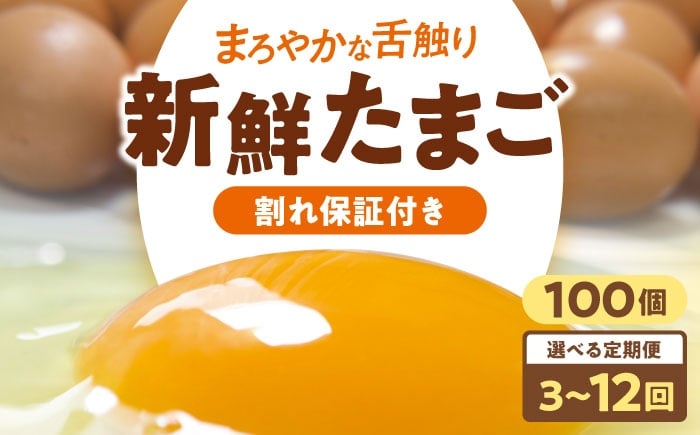 
            卵 定期便【選べるお届け回数】卵 平飼い 海草たまご 10パック（100個入り）割れ保証あり 愛媛県大洲市/和田養鶏場 卵 定期便 たまご 卵 鶏卵 たまご 玉子 タマゴ エッグ 生卵 国産 卵焼き 卵料理 卵かけご飯 たまごかけご飯 温泉卵 ゆでたまご 朝食 夕食 夜ご飯 おかず 栄養満点 割れ保証 [AGDQ014]
          