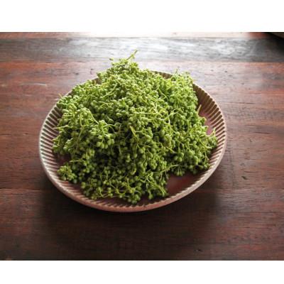 ふるさと納税 印南町 極旨!熊野牛 牛丼の具3個セット(粉山椒付) |  | 02