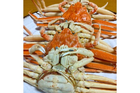 京丹後市より茹でたて プロトン凍結 【 訳あり 】 茹でこっぺがに 香箱ガニ 5匹