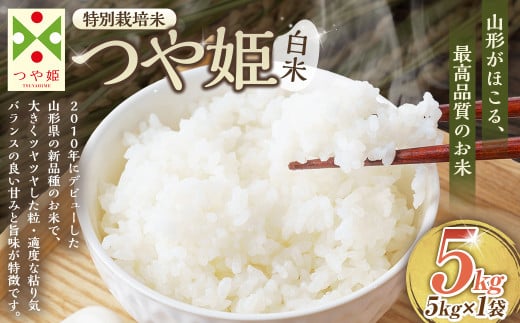 【令和7年産新米】〈白米〉つや姫 5kg ＜1回のお届け＞ （特別栽培米） 山形県産 しらたかのお米 【2025年11月上旬発送開始予定】