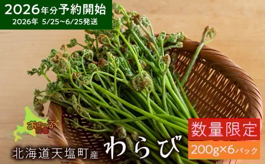 2026年分予約開始★北海道産わらび 200ｇ×6パック《おのっぷ農園》