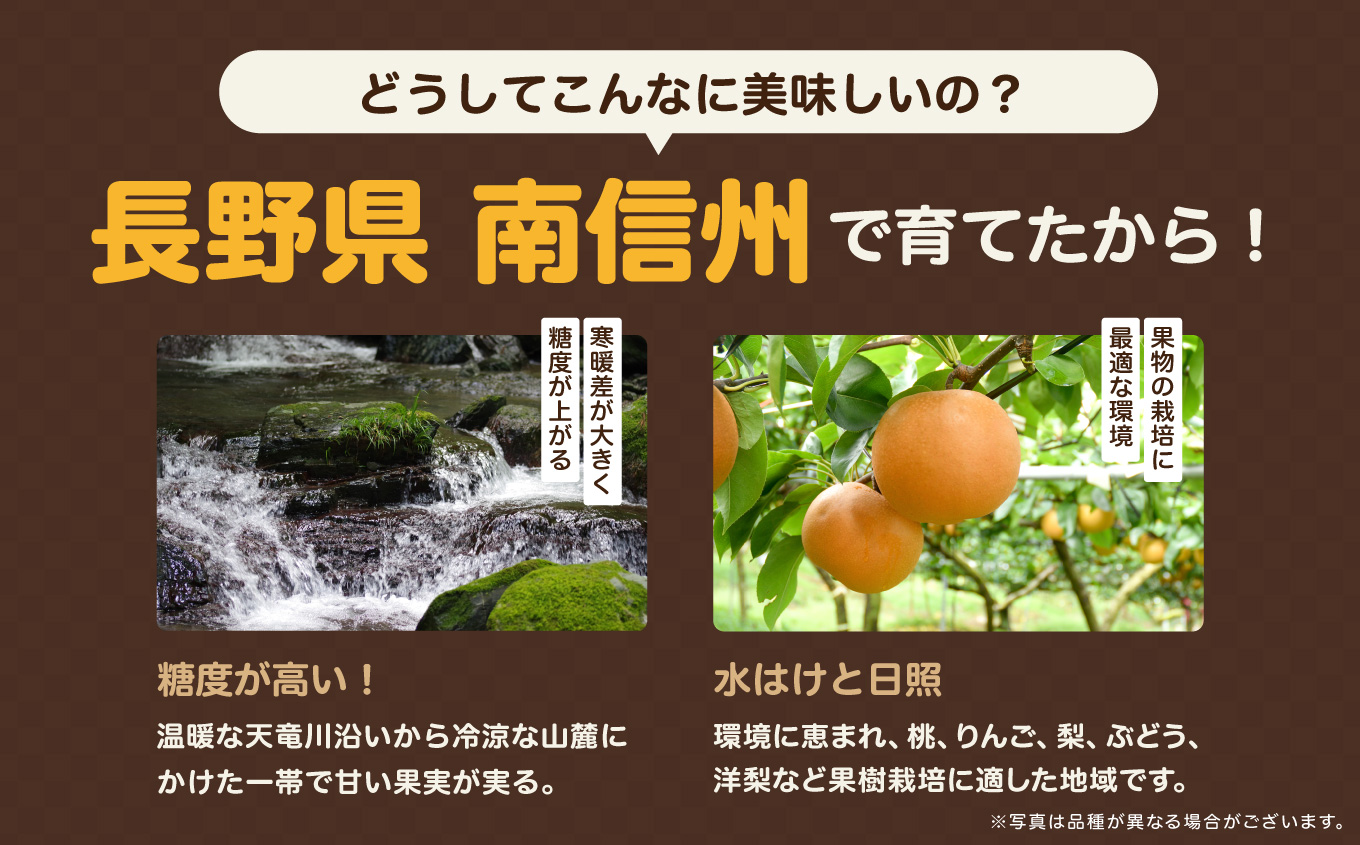 南信州産 幸水 または 豊水 秀品 約5kg 8～16玉 <2026年9月上旬～順次発送> ＪＡみなみ信州ＤＭセンター飯田市