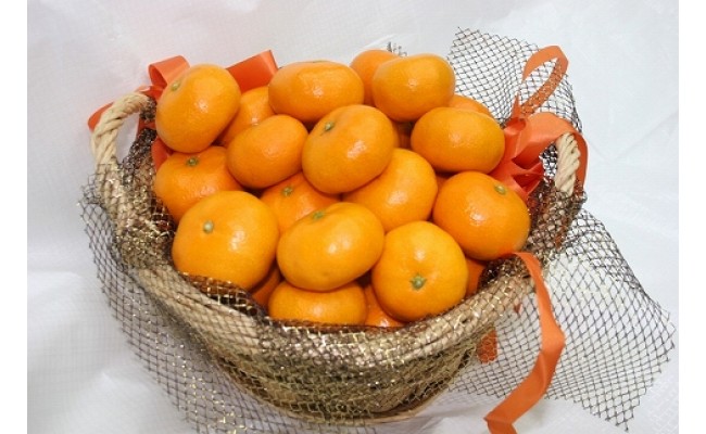 みかんジュース 仲森農園の甘熟みかんじゅーす 1L×3本 ミカンジュース みかん ミカン 温州みかん ストレート フルーツジュース フルーツ 果物 くだもの 人気 数量限定 仲森農園 三重県 熊野市【