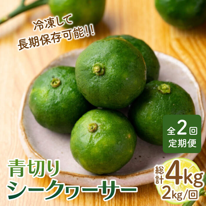 【ふるさと納税】【全2回定期便】【TVで話題！】【先行予約】 青切り シークワーサー 約2kg×2回（計4kg）＜広津農園＞ [CBN016] シークヮーサー レモン 果物 柑橘 定期便
