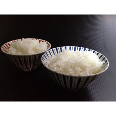 ふるさと納税 白浜町 熊野米　5kg×1袋 |  | 01