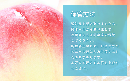≪8月中旬～8月下旬発送予定≫津軽の桃 旬の白桃 約3kg 秀品 《hi-0001-004》