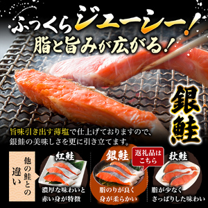 【 3ヶ月 連続 定期便 】訳あり 銀鮭 切り身 1kg セット 詰め合わせ 鮭 サケ