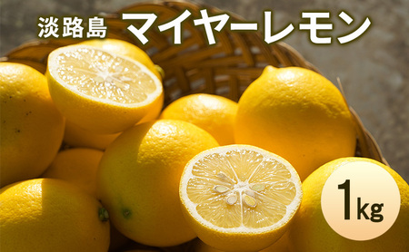 淡路島 マイヤーレモン 1kg レモン 檸檬 れもん グリーンレモン 果物 フルーツ 季節の果物 季節のフルーツ 旬 旬のフルーツ 旬の果物 洲本市
