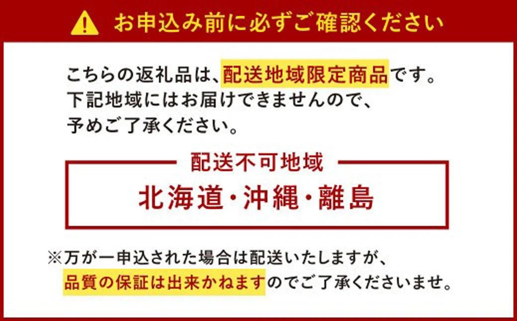 あまおうサイズ色々 約570g（約285g×2パック）【2026年2月上旬発送予定】あまおう いちご 苺 イチゴ フルーツ 果物
