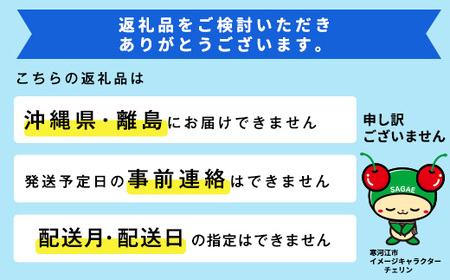 種無しぶどう「デラウェア」約1.8kg （8〜16房） 2024年産 秀品【2024年7月末頃～8月末頃発送予定】山形県産　012-B-MM010