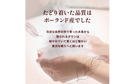 【カバー付き ホワイト】羽毛ふとん ポーランドダックダウン85％ クイーン | 寝具 布団