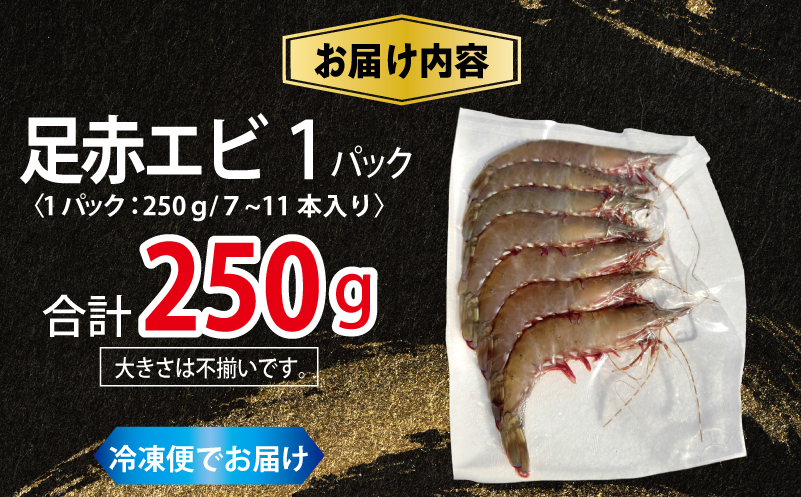 足赤エビ 250g【国産 えび 天然 ぷりぷり 海鮮 水揚げ 生食可】 010B1862