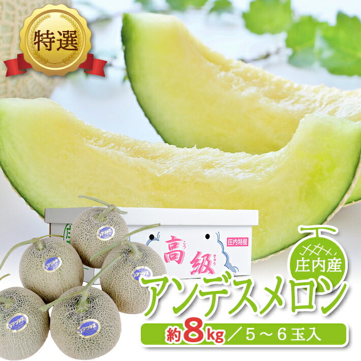 【ふるさと納税】特選 アンデスメロン 約8kg（5～6玉入） 青肉 つる付 化粧箱入り 山形県庄内産 6月中旬〜7月中旬頃お届け ※着日指定不可 青肉メロン ツル付き セット 東北 山形県 酒田市 庄内