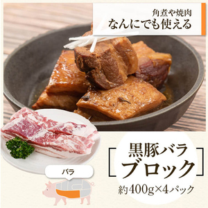 【B02102】鹿児島県産黒豚バラブロック(計約1.6kg・約400g×4P) 黒豚焼豚(約200g×2個) 鹿児島 国産 九州産 黒豚 豚肉 お肉 焼豚 叉焼 チャーシュー 肉加工品 豚バラ バラ肉