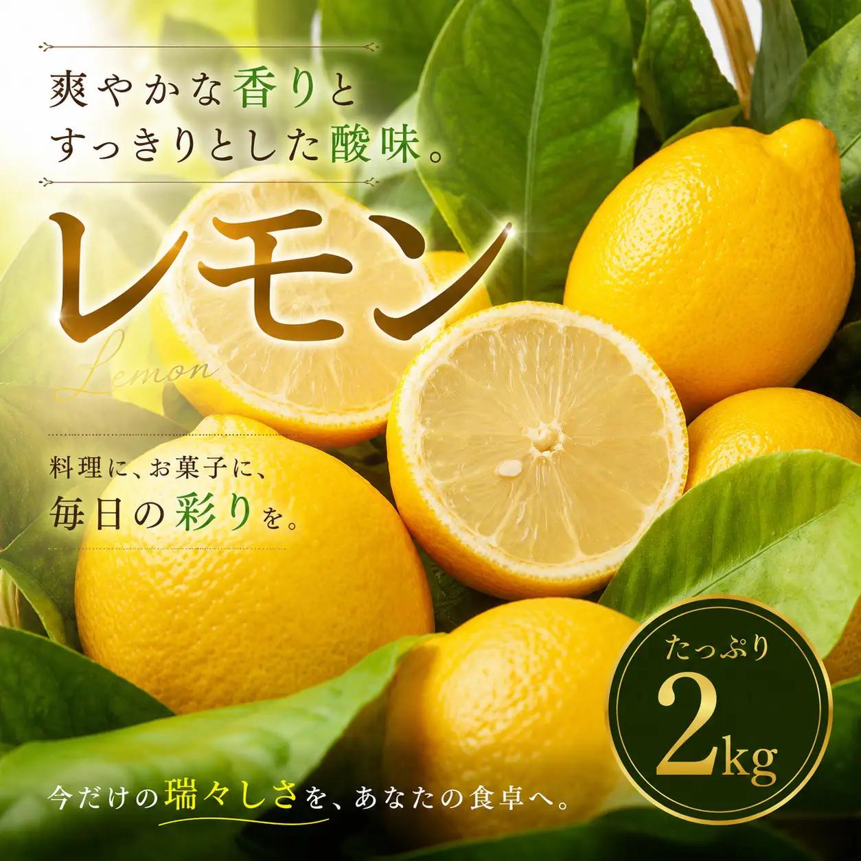 イエロー レモン 家庭用 2kg 【2027年1月中旬頃から順次発送】 | れもん レモン lemon 檸檬 訳あり フルーツ 柑橘 果物 おすすめ お勧め お取り寄せ ギフト 愛媛県 松山市 【MKN050】