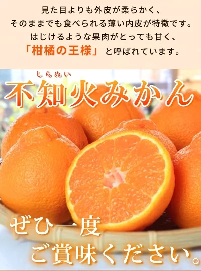 G7358_【2026年先行予約】紀州有田産 不知火 (しらぬい)【家庭
