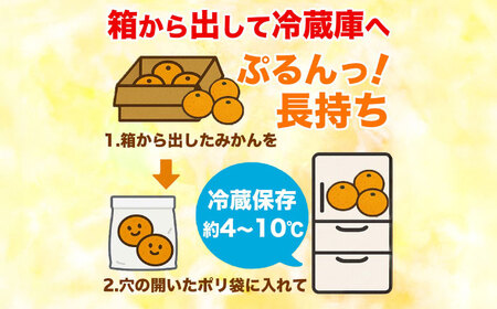 【先行予約】 温州みかん 訳あり サイズミックス 3S-3L 約5kg みかん 蜜柑 サイズ 不選別 家庭用 柑橘 フルーツ 果物 【日本フルーツ株式会社】[ZFJ050]