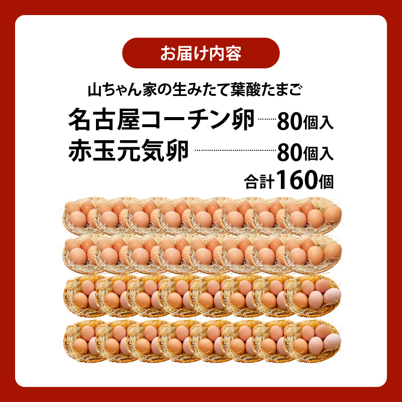 【山ちゃん家の生みたて葉酸たまご】名古屋コーチン卵・赤玉元気卵 食べ比べセット（各80個 合計160個入り） 山ちゃん家 生みたて 葉酸たまご 名古屋コーチン卵 赤玉元気卵 食べ比べ セット 各 80