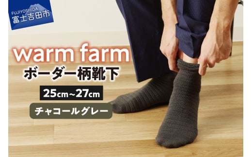 光吸収発熱ウール「ウォームファーム ボーダー柄靴下」（チャコールグレー）