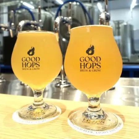 クラフトビール GOOD HOPS 青空ホップス ペールエール 6本セット 缶ビール【配送不可地域：離島】【1710100】