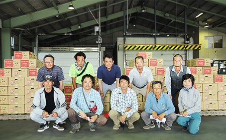 12-23茨城県産ピノガール約3kg（2個）【2024年5月中旬～6月中旬ごろ発送予定】