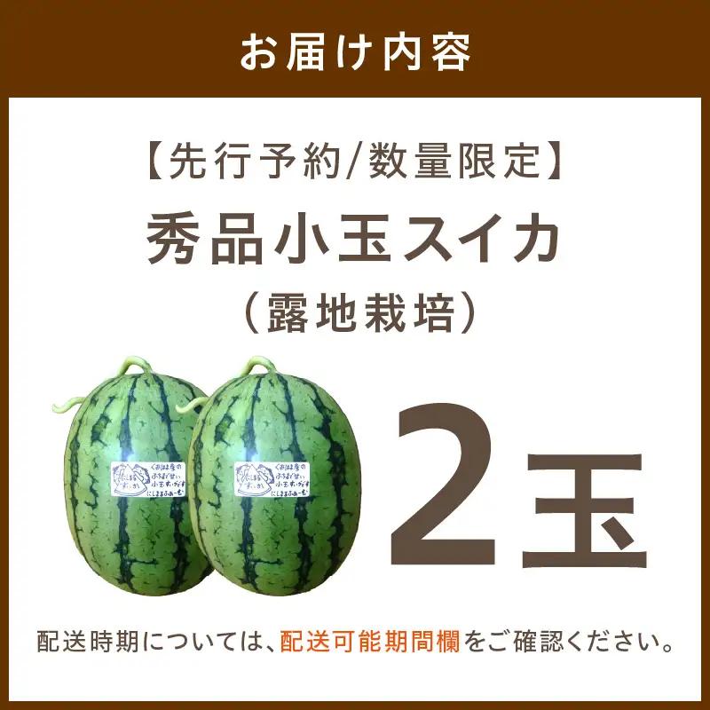 【先行予約／数量限定200】スイカ にしまるスイカ 秀品 2玉｜2026年7月中旬から発送