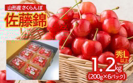 山形産 さくらんぼ 佐藤錦 L以上 1.2kg(200g×6パック入) 【令和7年産先行予約】FU21-829 くだもの 果物 フルーツ 山形 山形県 山形市 2025年産