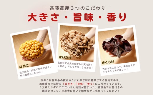 遠藤農産　まいたけ・なめこ・きくらげセット