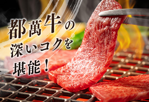 黒毛和牛＜都萬牛＞焼肉 300g×2パック 計600g【C383-2603】