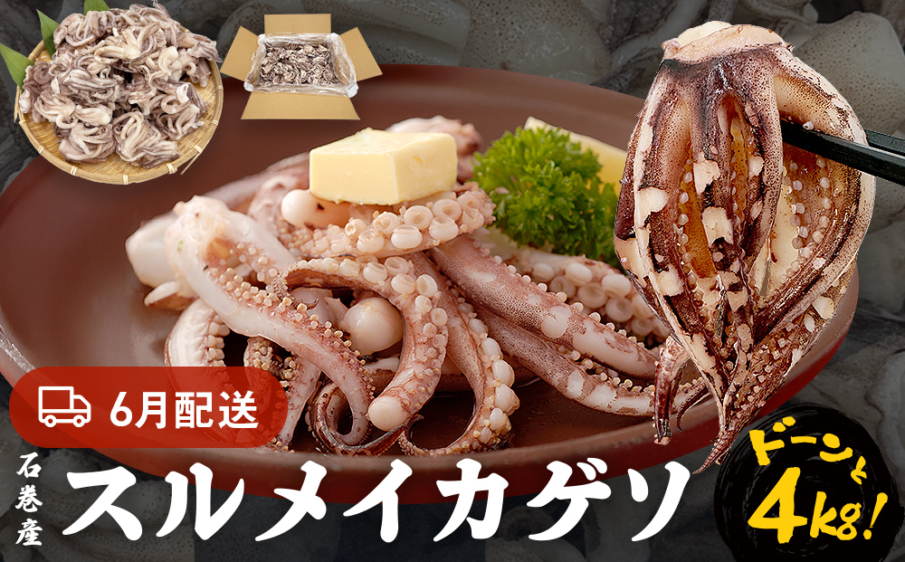 訳あり 石巻産スルメイカゲソ 4kg 6月配送 冷凍 国産 いか 下