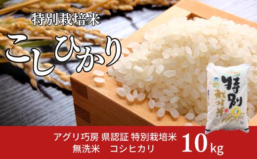 県認証 特別栽培米 コシヒカリ10kg 無洗米 新潟県認証 令和7年産 新潟県三条市産 こしひかり 【021S058】