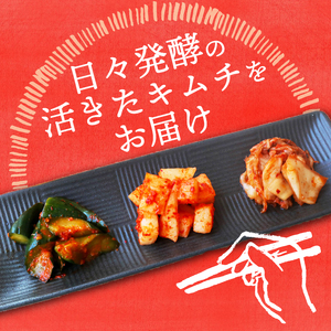 【定番キムチ】キムチ3種 900グラム