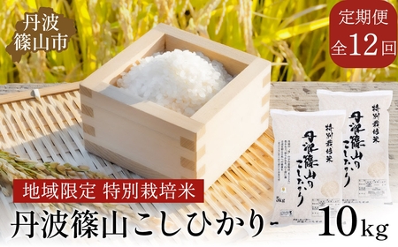 【お米定期便】令和7年 特Aランク特別栽培米 コシヒカリ 精米 10kg（全12回）特A お米 定期便 丹波たぶち農場