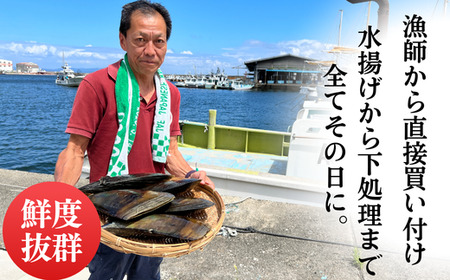 天然 平貝 スライス 4パック セット 冷凍 便利 かい カイ 魚貝 魚介 海鮮 刺し身 刺身 平貝 たいらがい カイ 魚貝 魚介 海鮮 貝 刺し身 刺身 平貝 タイラギ かい カイ 魚貝 魚介 海鮮