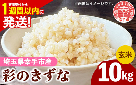 令和7年産【彩のきずな】玄米10kg 色彩選別済 Brown Rice - お米 ごはん