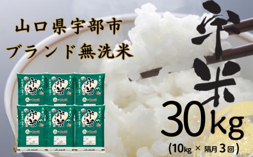 
【令和6年度新米】【先行予約】【定期便】恋の予感　10kg（5kg×2袋）　隔月×3回（合計30kg）【無洗米】【宇米】※奇数月(2025年1月, 3月, 5月)にお届け 【米 お米 精米 国産米 山口県産米 宇部米 宇米 無洗米 ご飯 コメ ごはん ふっくら 恋の予感 定期便】
