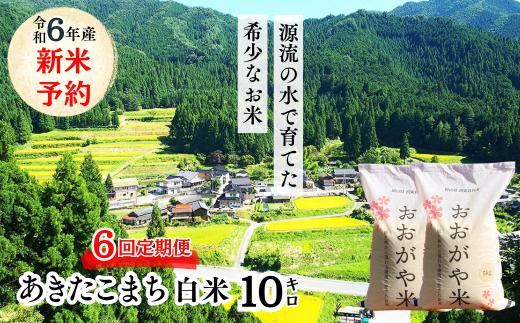 【6回定期便】白米 10kg 令和6年産 あきたこまち 岡山 「おおがや米」生産組合 G-bg-CDZA