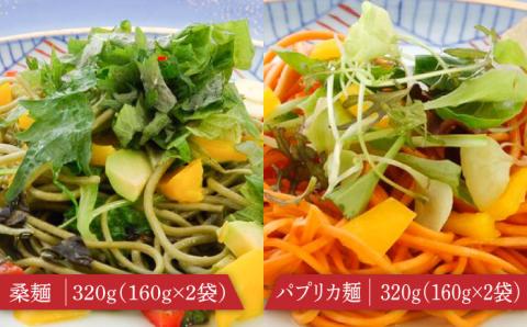 クラフトパスタ バラエティセット / パスタ 詰め合わせ 南島原市 / 本多製麺 [SAV007]