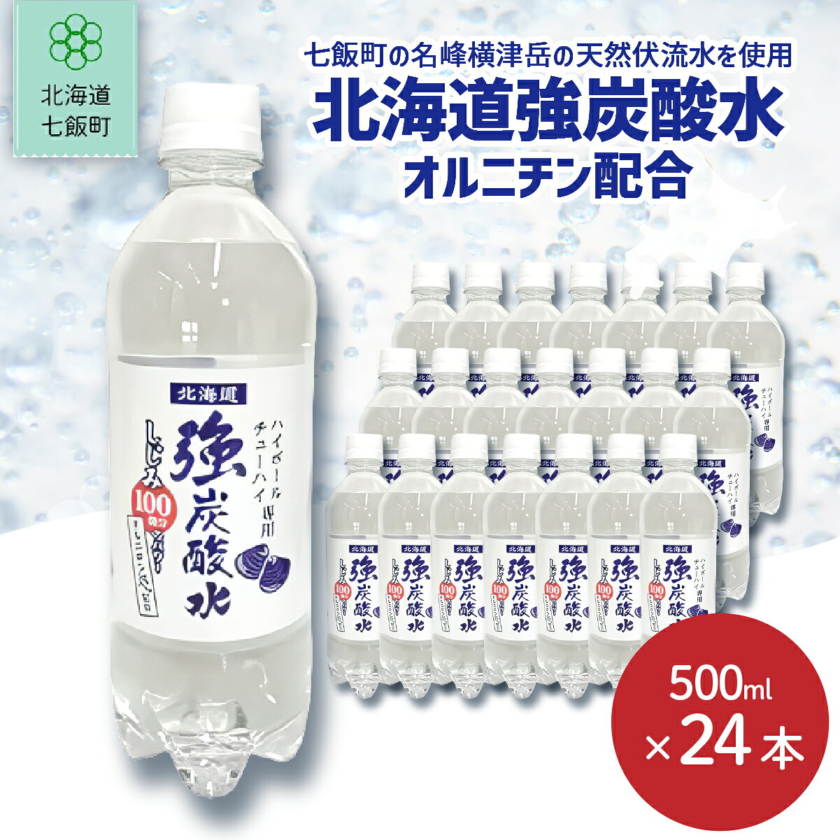 【ふるさと納税】 北海道強炭酸水（オルニチン配合）（500mlペットボトル） ふるさと納税 人気 おすすめ ランキング 強炭酸水 オルニチン 北海道代表 ご当地 北海道 七飯町 送料無料 NAQ011