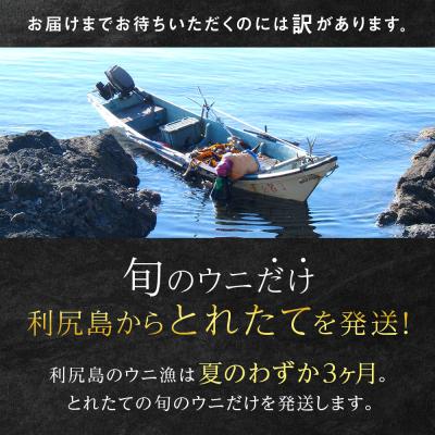 ふるさと納税 利尻富士町 【2026年8月発送】キタムラサキウニ 200g (100g×2パック) <利尻漁業協同組合> |  | 01