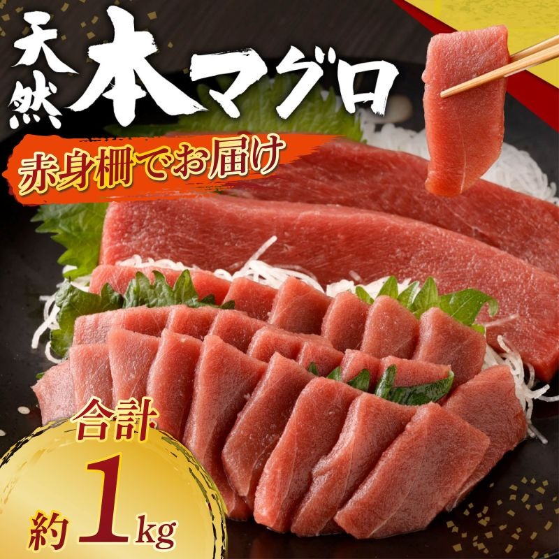 天然本まぐろ 赤身サク 合計約1kg 【日時指定可】 刺身 お刺し身 柵 マグロ 鮪 ちらし寿司 手巻き寿司 おかず 海鮮丼 マグロ丼 マグロ漬け丼 魚介類 真空パック 父の日 惣菜 訳あり 規格外 