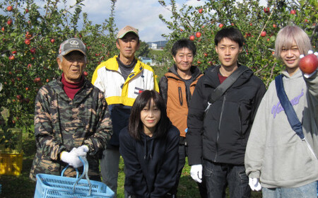 【清水農園】フレッシュ りんご 岩手県のオリジナル品種「紅いわて」約2kg 【 リンゴ 林檎 果物 フルーツ 期間限定 】2025年9月頃から順次発送予定 RT2224