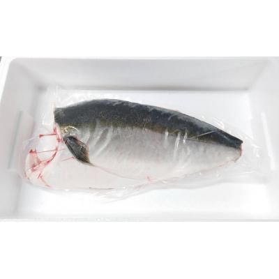 ふるさと納税 多度津町 オリーブハマチ　冷凍　カマ・鱗付き半身1枚　約1.5kg(原体4.6kg)【A-107】 |  | 01