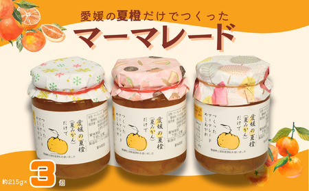 愛媛の夏橙（なつみかん）だけでつくった マーマレード 3個セット