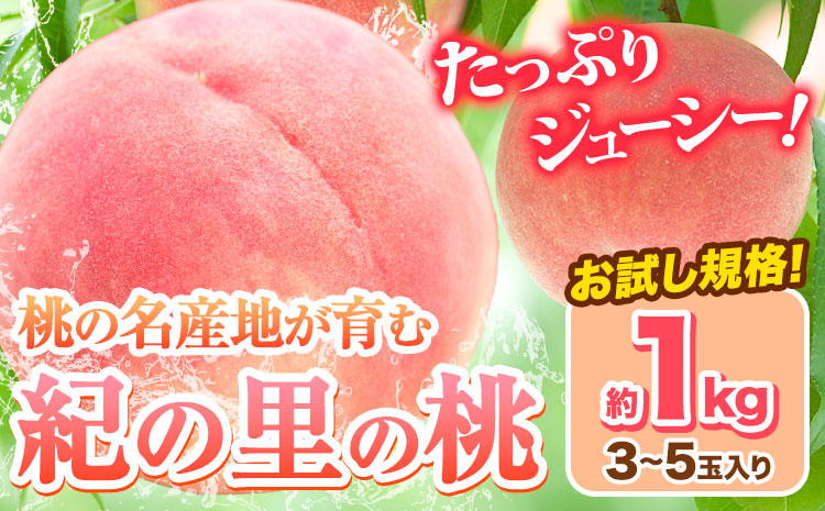 桃 和歌山県産 紀の里の桃 約1kg (3-5玉)《2025年6月中旬-8月中旬頃出荷》 2025年 紀の里の桃 白鳳 日川白鳳 なつっこ 清水白桃 川中島白桃 八旗白桃 和歌山 もも 一万円以下 10000円以下(F)