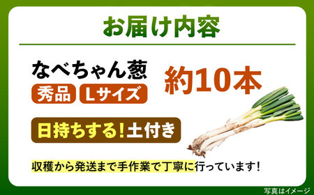ねぎ【2026年11月発送開始】なべちゃん葱(土付き) Lサイズ2.5kg 約10本[AICO004]
