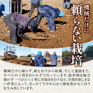 北海道十勝清水町産 秋堀りごぼう 5kg【2026年秋発送予定】牛蒡 ゴボウ